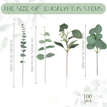 Qfdian 100 Pcs Mixed Eucalyptus Leaves Stems Bulk Artificial Silver Dollar Eucalyptus Leaves Picks Dried Eucalyptus Bundle Faux Spray